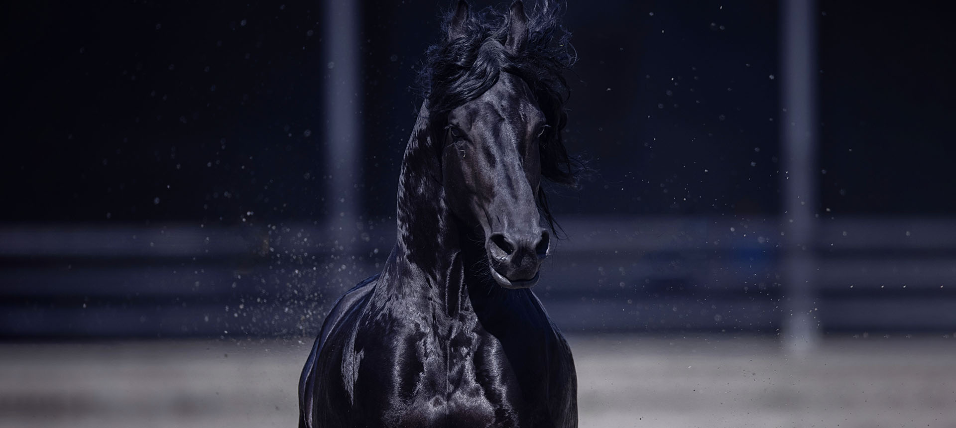 中國(guó)汗血馬基地